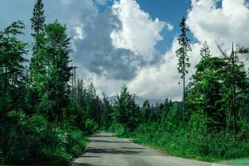 Фотографии Шале Domki na Wyskówkach г. Закопане (Польша) №3 Фото Шале Domki na Wyskówkach г. Закопане 3