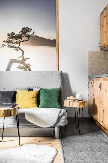 Фотографии Апартаменты Apartament Pod Orłem г. Закопане (Польша) №3 Фото Апартаменты Apartament Pod Orłem г. Закопане 3