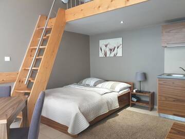 Фото номера Apartment with Kitchenette and Mezzanine Апартаменты Apartamenty Brzozowa - Centrum г. Закопане 4
