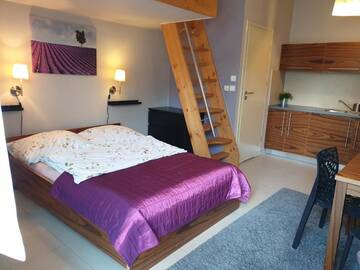 Фото номера Apartment with Kitchenette and Mezzanine Апартаменты Apartamenty Brzozowa - Centrum г. Закопане 3