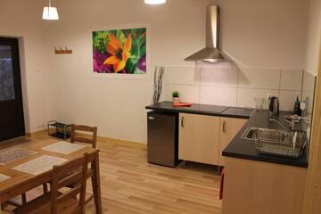 Фото номера Апартаменты с 1 спальней (для 3 взрослых) Апартаменты Apartament Bystre г. Закопане 8