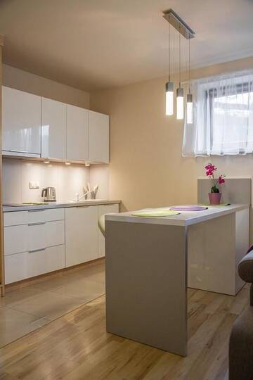 Фото номера Апартаменты Апартаменты Apartament Ceprówka г. Закопане 4