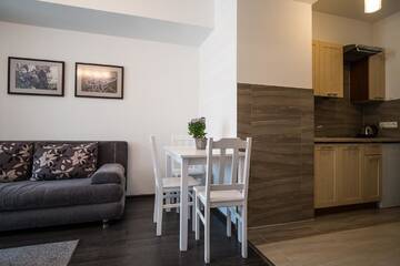 Фото номера Апартаменты с душем Апартаменты Prestige Apartamenty Stara Polana &amp; Spa г. Закопане 8