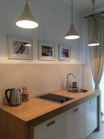 Фото номера Апартаменты с 1 спальней Апартаменты Studio 4U Zakopane г. Закопане 8