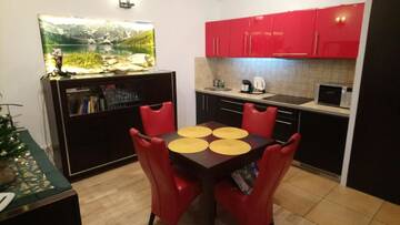 Фото номера Апартаменты (для 4 взрослых) Апартаменты Apartament Radowid 15 w centrum z basenem г. Закопане 7