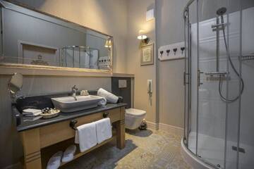 Фото номера Двухместный номер «Премьер» с 1 кроватью Отель Aries Hotel &amp; SPA Zakopane г. Закопане 10