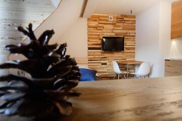 Фото номера Апартаменты (для 2 взрослых) Апарт-отели Alpini Apartamenty г. Закопане 3