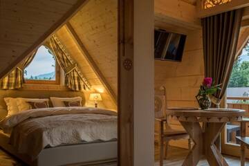 Фото номера Полулюкс с видом на горы Апарт-отели Aparthotel Bambi г. Закопане 12