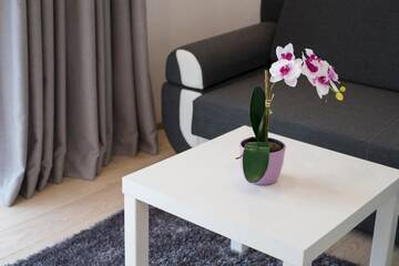 Фото номера Апартаменты с 3 спальнями Апартаменты Apartamenty Comfort &amp; Spa Stara Polana г. Закопане 12