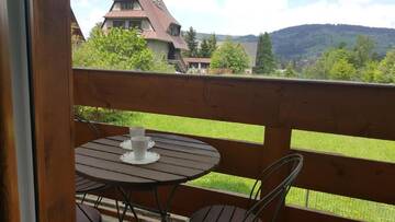Фото номера Апартаменты Апартаменты Apartament Kameralny г. Закопане 15
