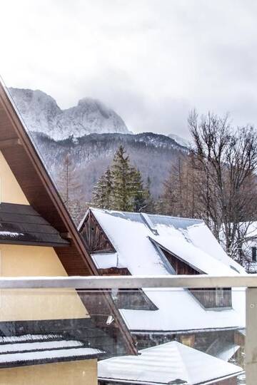 Фото номера Апартаменты с видом на горы Апартаменты Apartamenty Granitica Zakopane г. Закопане 23