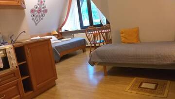 Фото номера Номер-студио Делюкс Проживание в семье Apartamenty Malinka г. Закопане 8