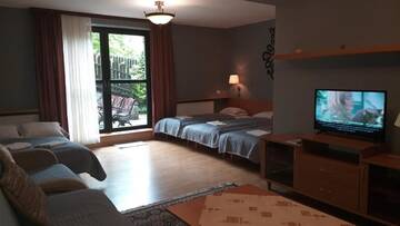Фото номера Номер-студио с террасой Проживание в семье Apartamenty Malinka г. Закопане 12