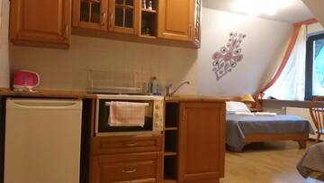 Фото номера Номер-студио Делюкс Проживание в семье Apartamenty Malinka г. Закопане 9