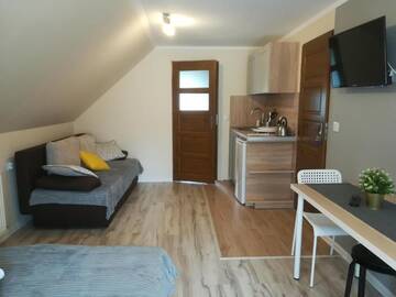 Фото номера Номер-студио с видом на горы Проживание в семье Apartamenty Milka г. Закопане 6