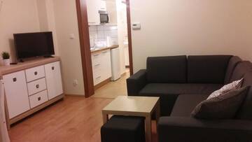 Фото номера Апартаменты Апартаменты Apartament Akuratny Zakopane г. Закопане 54