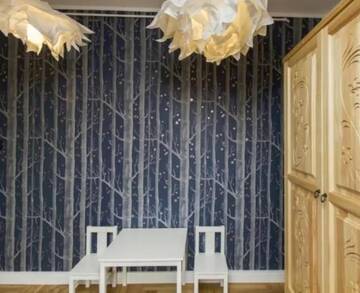 Фото номера Апартаменты с видом на горы Апартаменты Apartament Wokół Stołu г. Закопане 13