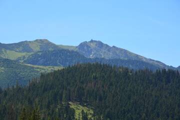 Фото номера Мезонет Апартаменты Apartament M9 - Zakopane г. Закопане 23