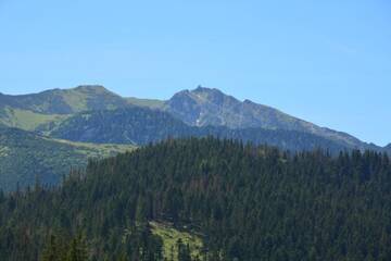Фото номера Мезонет Апартаменты Apartament M9 - Zakopane г. Закопане 32