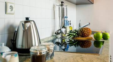 Фото номера Апартаменты с 2 спальнями Апартаменты Rent like home - Orkana г. Закопане 11