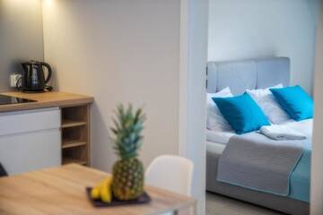 Фото номера Улучшенные апартаменты Апартаменты Apartamenty Pod Gubałówką г. Закопане 3