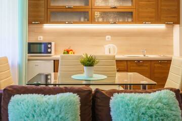 Фото номера Апартаменты с 1 спальней Апартаменты Apartamenty Montana г. Закопане 2