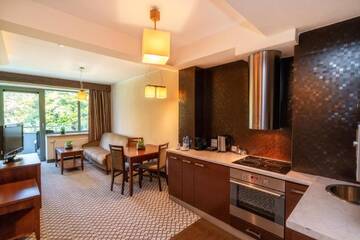 Фото номера Роскошные апартаменты Отель Hotel Murowanica г. Закопане 9
