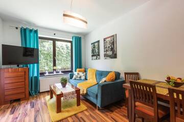 Фото номера Апартаменты с 1 спальней и террасой Апартаменты Apartament Olivia Zakopane г. Закопане 50