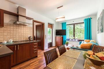Фото номера Апартаменты с 1 спальней и террасой Апартаменты Apartament Olivia Zakopane г. Закопане 16