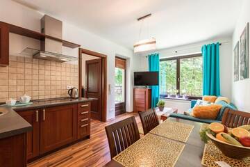 Фото номера Апартаменты с 1 спальней и террасой Апартаменты Apartament Olivia Zakopane г. Закопане 36