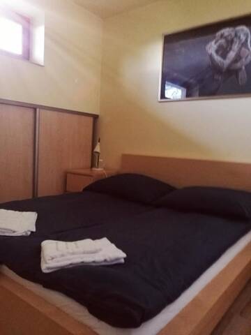 Фото номера Апартаменты с видом на горы Апартаменты Apartament z kogutem г. Закопане 17