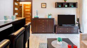 Фото номера Апартаменты с видом на горы Апартаменты Apartamenty Tetmajera г. Закопане 9