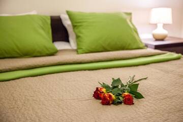 Фото номера Апартаменты с видом на горы Апартаменты Apartament Boruta г. Закопане 21
