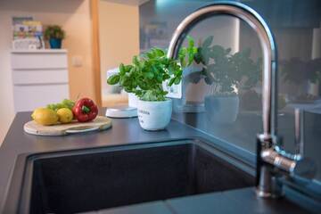 Фото номера Апартаменты Апартаменты Apartament Pod Orłem г. Закопане 7
