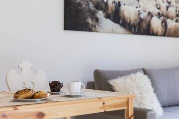 Фото номера Апартаменты Делюкс Апартаменты Apartament Owczarnia Zakopane г. Закопане 9