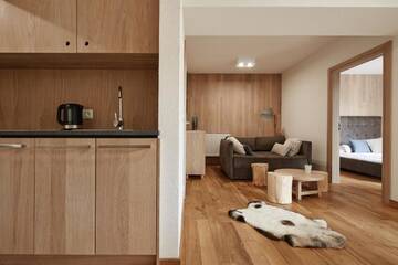 Фото номера Апартаменты Делюкс Апарт-отели Monte House Apartments г. Закопане 11