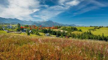 Фото номера Вилла Делюкс Дома для отпуска Rent like home - Willa Zoniówka PREMIUM г. Закопане 109