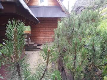 Фото номера Шале с 3 спальнями Шале Domek pod zielonym lasem г. Закопане 41
